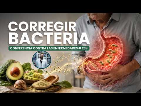 Helicobacter pylori y hueso de aguacate: evidencia y seguridad